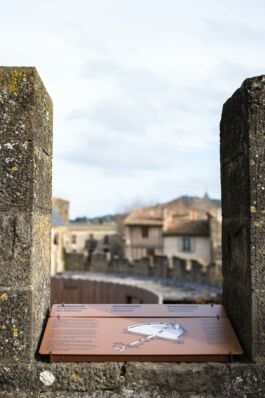 Carcasssonne